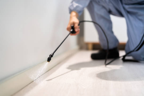 Flea Control Services in Tamarac, FL